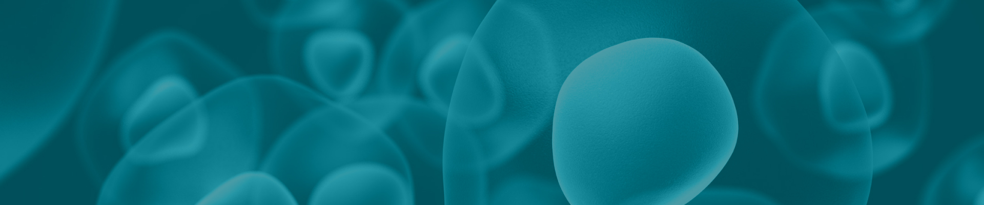 2025官網_欄目頁banner 03.jpg